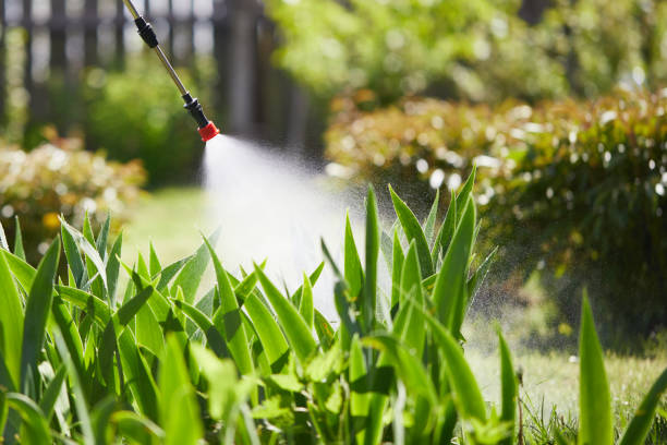 24/7 Emergency Mosquito Control experts in Centuria, WI